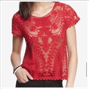 Express Red Sheer Lace Crop Top M